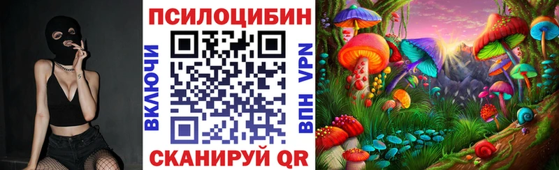 Купить  Юхнов  Галлюциногенные грибы Magic Shrooms 