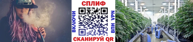Купить закладки Юхнов Канабис план